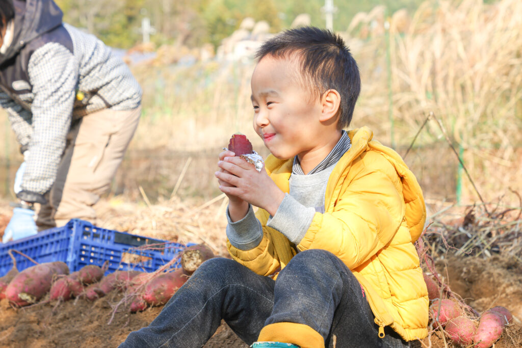 野菜を食べる子供の写真