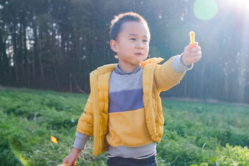 野菜を食べる子供の写真