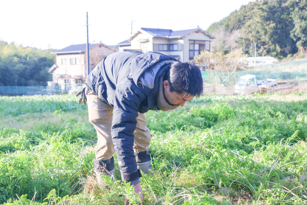 農作業の写真