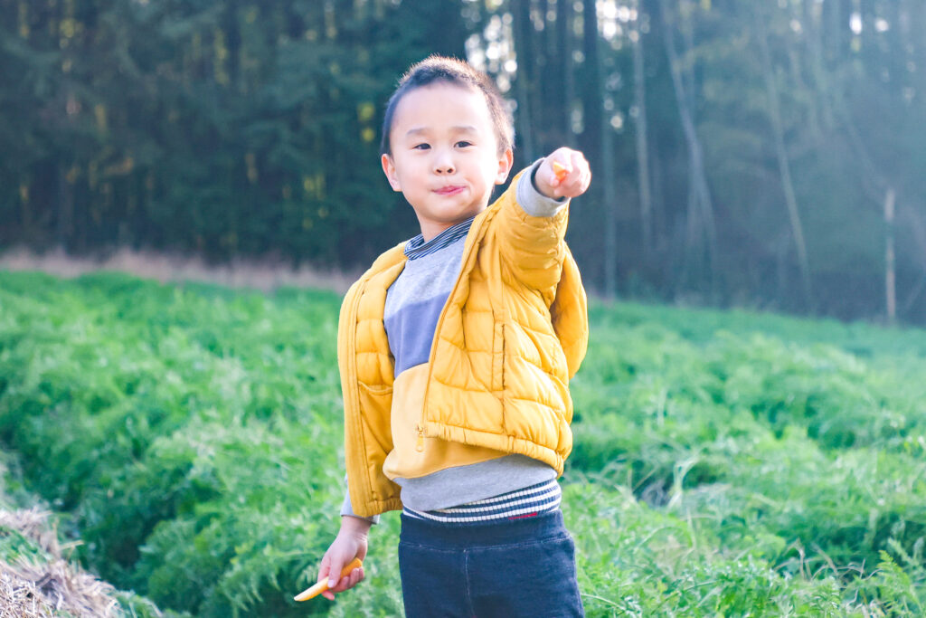 子供が無農薬野菜を食べる写真