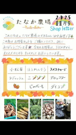 お野菜  ニセコグリーンファームの大人気お野菜ボックス | Experience Niseko